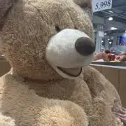 yの画像