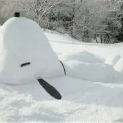 shigekicksの画像