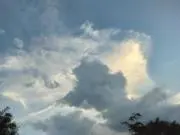 ふく