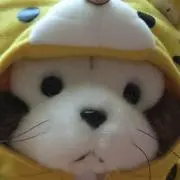 ゆうの画像