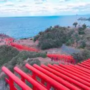 みあーの画像