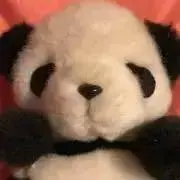 ぱんぱんちゃんの画像