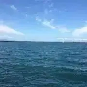 よるるの画像