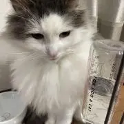 ビルボの画像