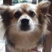 ＊あっちゅん＊の画像
