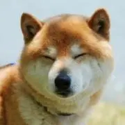 painappleの画像