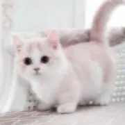 りちゃ【プロフ必読】の画像
