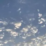たけピーの画像