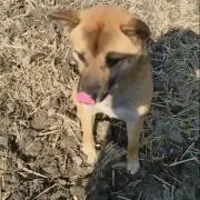 ☆☆☆