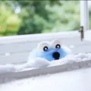 みー