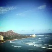hana137