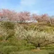 発送16日〜になります！の画像