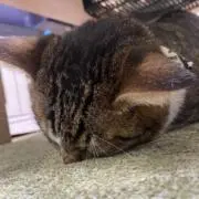 R♡の画像