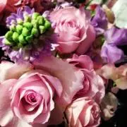 a♡yの画像