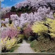 あっきーの画像