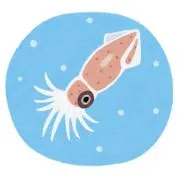 ほたるいかの画像