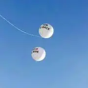 マロの画像