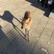 ケンの画像