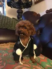 日月子