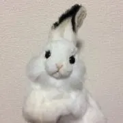 らびの画像