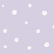 NeRuの画像