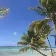 ☆ACO☆の画像