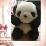 donpi
