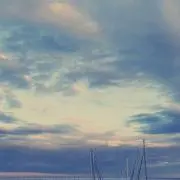 かんかんの画像