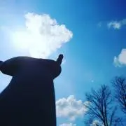 ザッソウ