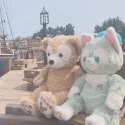 ルー（引っ越しのため断捨離中）の画像