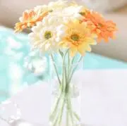 Aの画像
