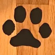 ちくわてんの画像