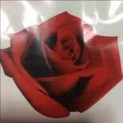 とわ