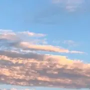 なかの画像