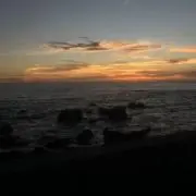 1の画像