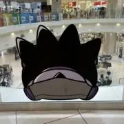ひよりの画像