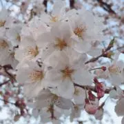ゆるり✧︎無言取引⭕️の画像