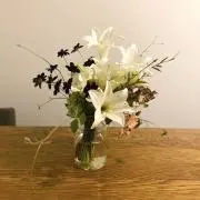 tkgの画像