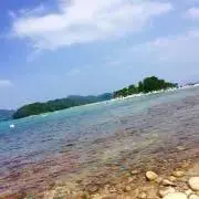 nacoの画像