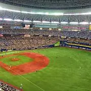 ハリアーの画像