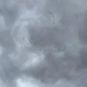 等速直線運動の画像
