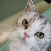 ゆっぴ