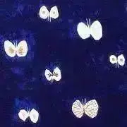 lanruの画像