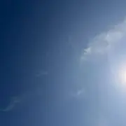 なるの画像