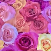 Flower♡の画像