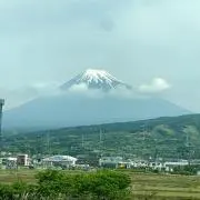 はた