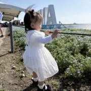 【12時間以内スピード発送】の画像