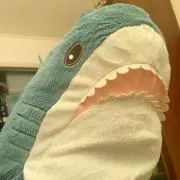ひでたけの画像