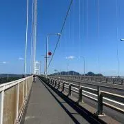 のんぴーの画像