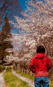 kyokoの画像